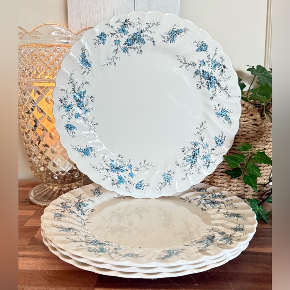 Vintage Myott Fine Staffordshire Ware,”Forget Me Not” Dinner Plates - Set/4, 10”